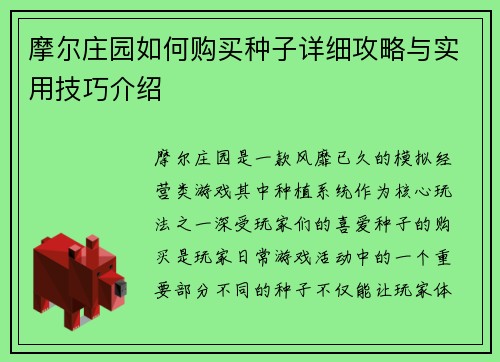 摩尔庄园如何购买种子详细攻略与实用技巧介绍